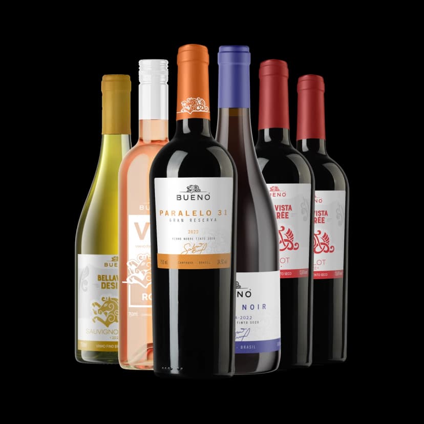 Kit Degustação Vinhos Bueno Wines