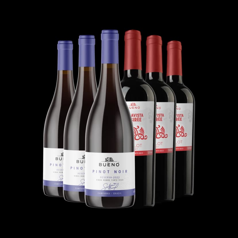 Kit 3x Pinot Noir Reserva e 3x Desirée Merlot 2023