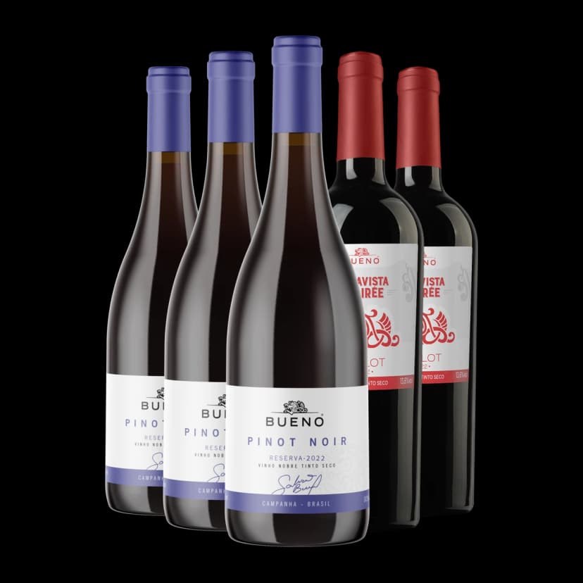 Kit 3x Pinot Noir Reserva e 2x Desirée Merlot 2023
