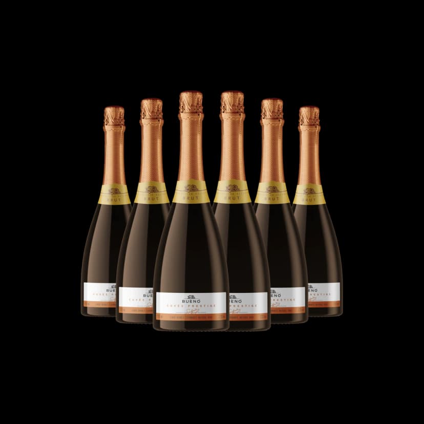 Kit 6x Espumante Cuvée Prestige D.O.